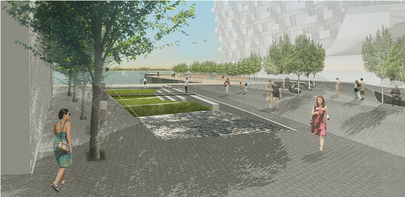 Wetland Cut Perspective 800x600 - Tree (800x600), Png Download