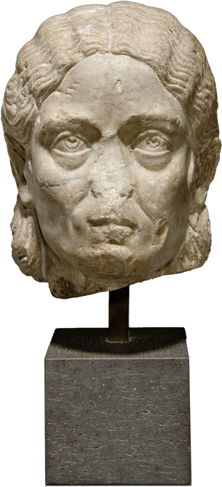 Damaged - Bust (600x720), Png Download