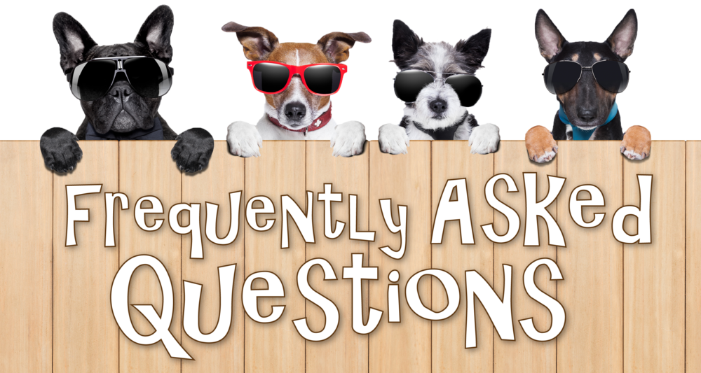 Happy Dog Png - Dog Windshield Sun Shade (1000x533), Png Download