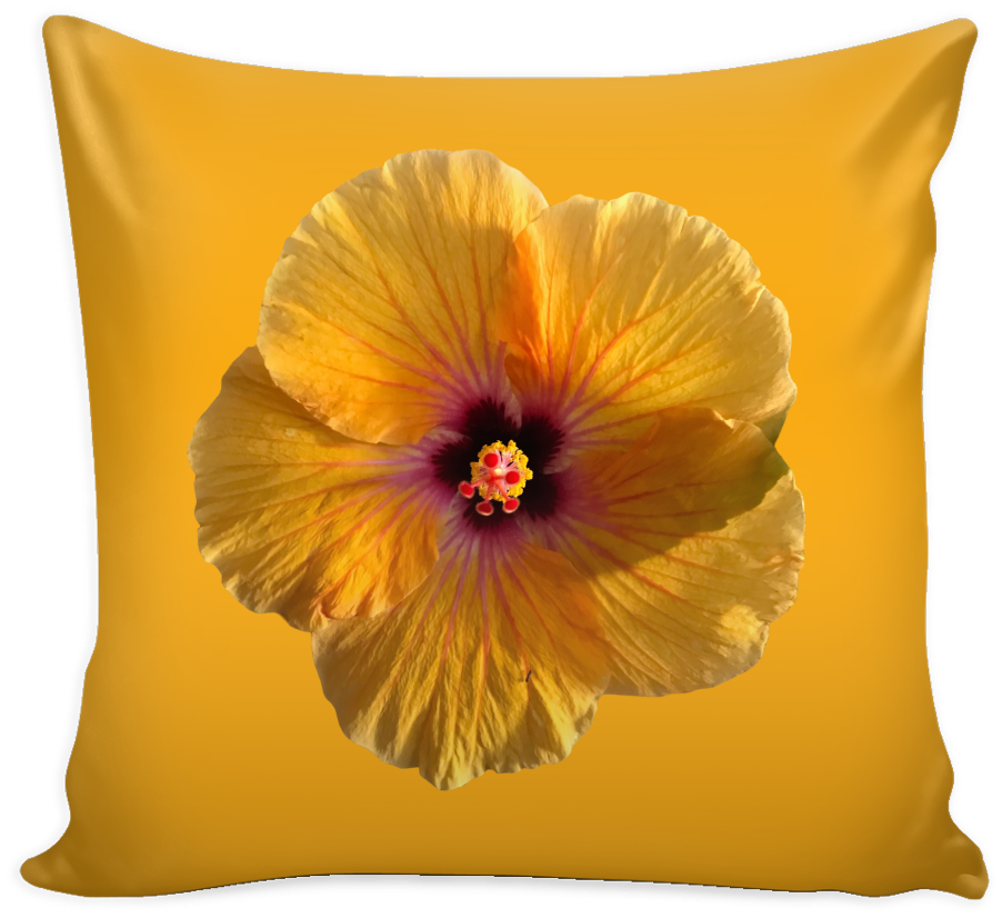 Hibiscus Flower Cushion Cover - Pillow (1024x1024), Png Download