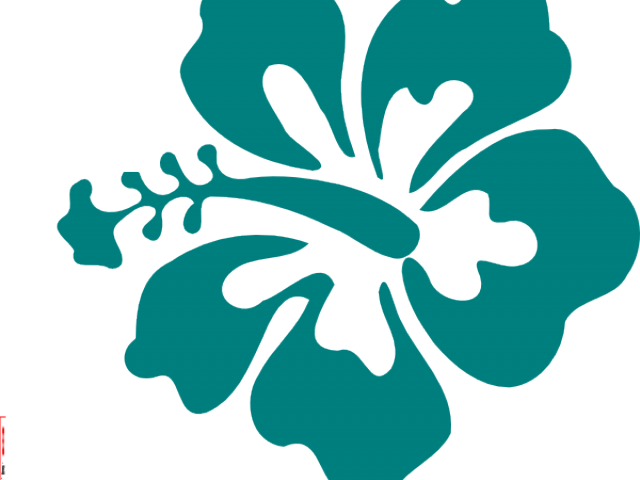 Hawaii Clipart Hibiscus Flower - Hibiscus Flower Clipart (640x480), Png Download