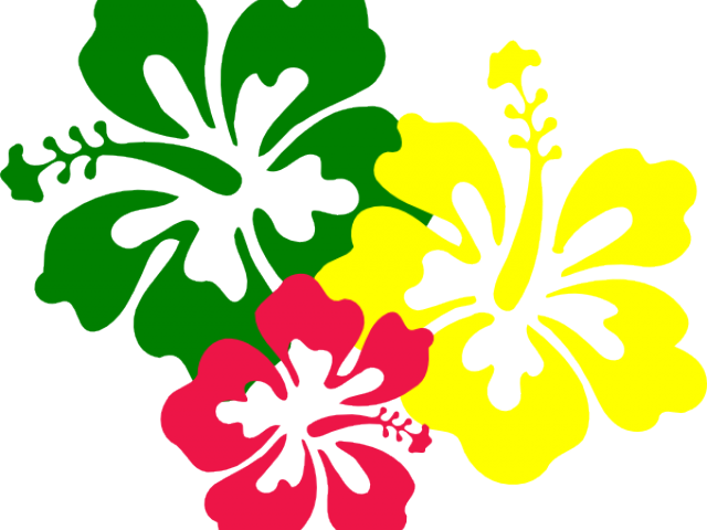Hawaiian Flower Vector Png (640x480), Png Download