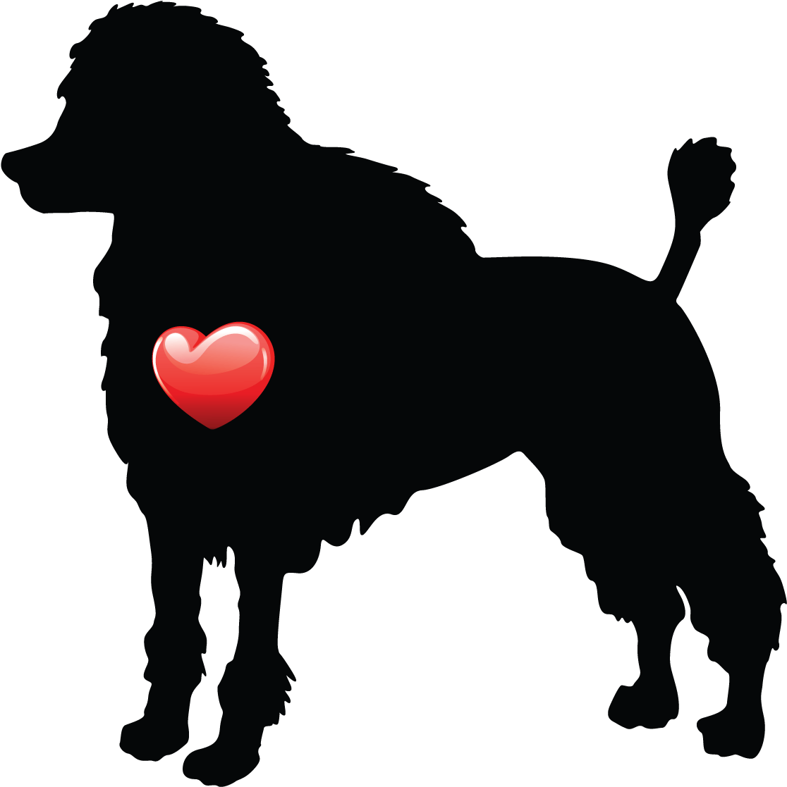 Standard Poodle (1200x1200), Png Download