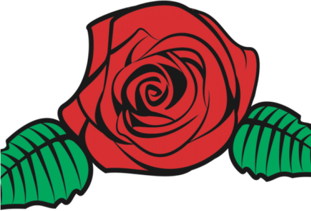 640 X 480 2 - Rose Flower Vector Png (640x480), Png Download