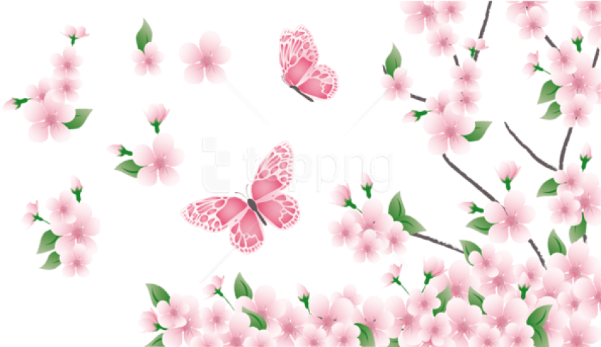 Free Png Download Spring Branch With Pink Flowers And - Pink Flowers And Butterflies (850x485), Png Download