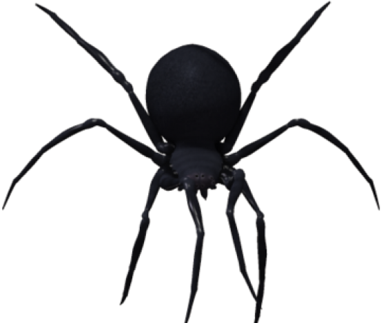 Black Widow Clipart Transparent Background - Black Widow Spider Png (640x480), Png Download
