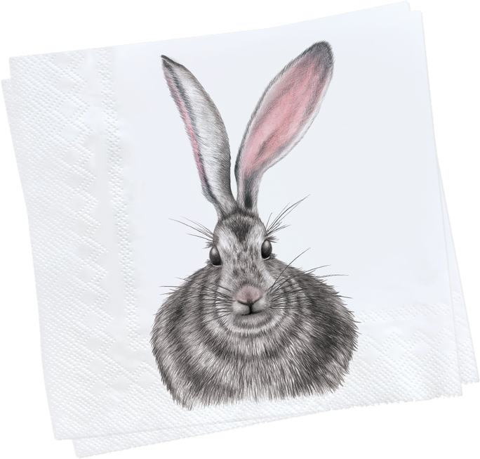 Charlotte Nicolin Paper Napkins Swedish Reproduction - Charlotte Nicolin Henrietta Tray Round (1000x1000), Png Download