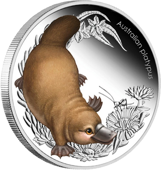 Australia 2013 50 Cents Platypus Australian Bush Babies - Platypus (560x560), Png Download