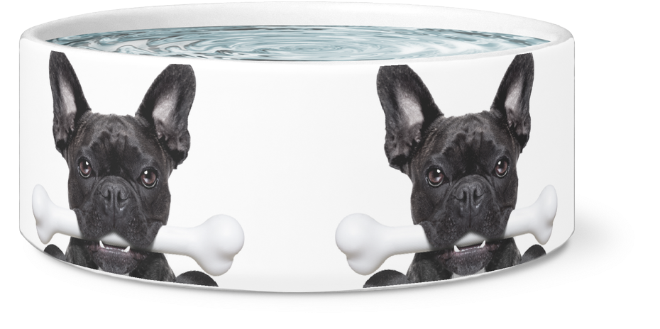 Frenchie With A Bone Dog Bowl - French Bulldog (1024x1024), Png Download