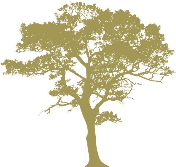 Oak Leaf Png - Tree Silhouette (600x575), Png Download