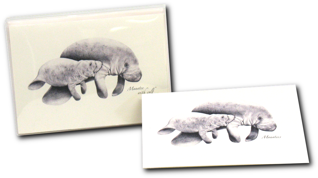 Shopping Cart -  -  - African Elephant (1200x1200), Png Download