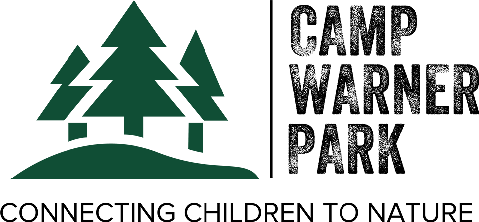 Christmas Tree (1000x650), Png Download