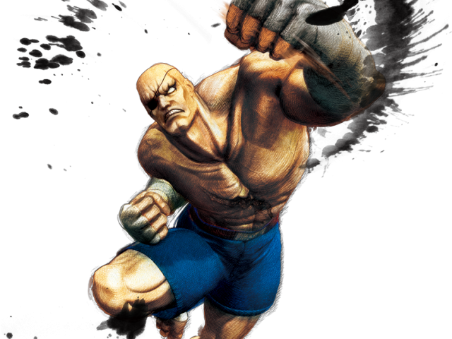 Street Fighter Png Transparent Images - Sagat Street Fighter Png (640x480), Png Download