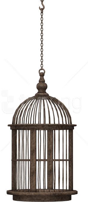 Free Png Download Bird Cage Png Images Background Png - Bird In Cage Png (480x702), Png Download