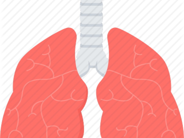 Illustration (640x480), Png Download