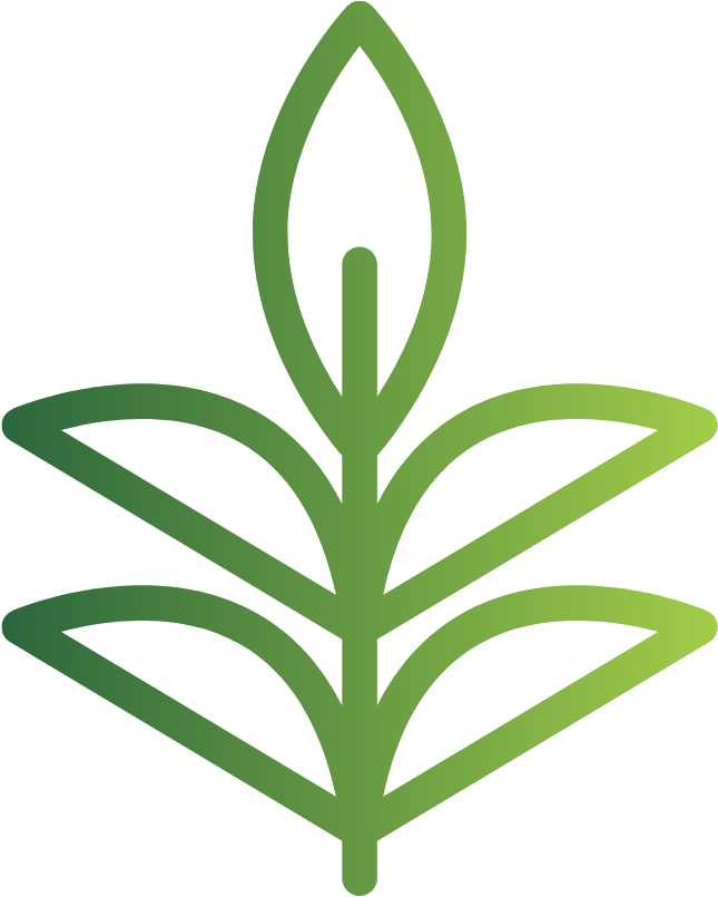 Leaf (831x831), Png Download