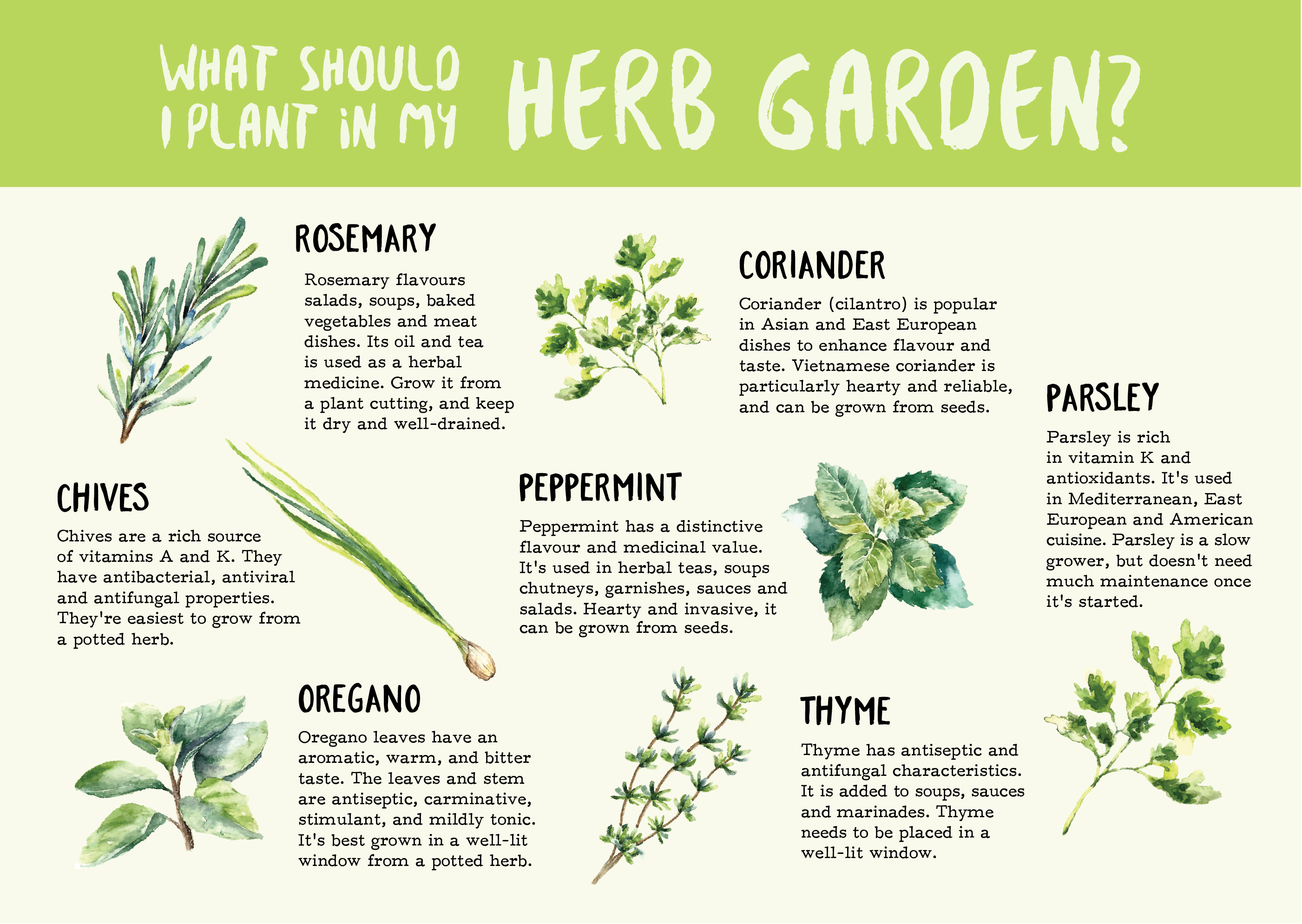 2802 X 1990 5 - Floral Design (2802x1990), Png Download