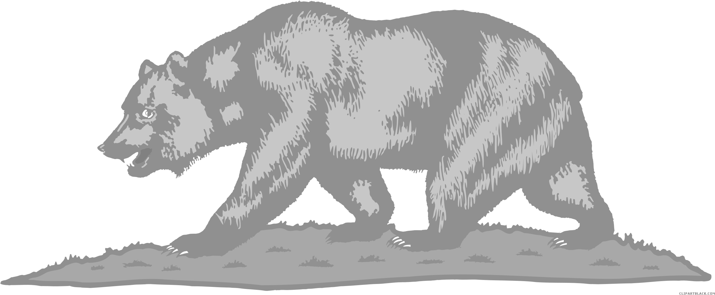 Flag Of California Clipart - California Flag Bear Clip Art (2500x1071), Png Download