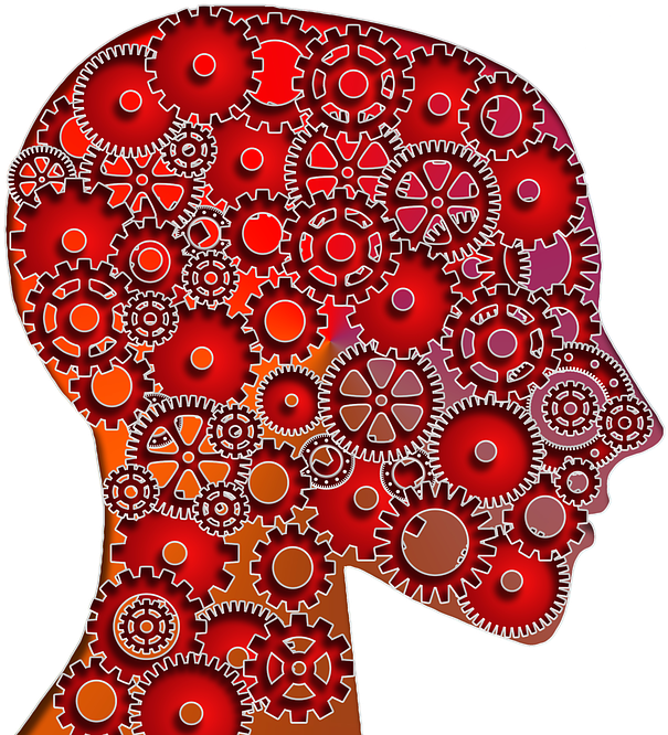 Free Thinking Face Png - Enfoque Conductual En Psicologia (960x678), Png Download