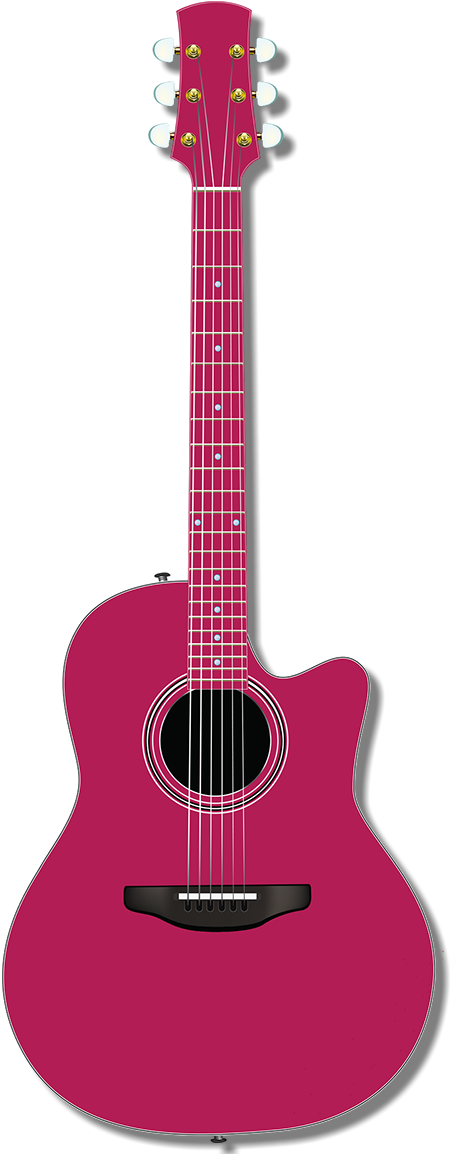 Barbed Wire & Roses - Acoustic Guitar (483x1157), Png Download