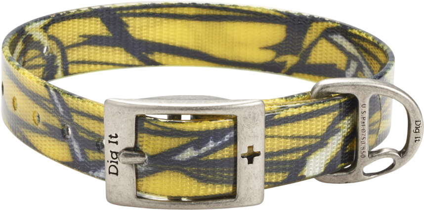 Belt (1000x579), Png Download