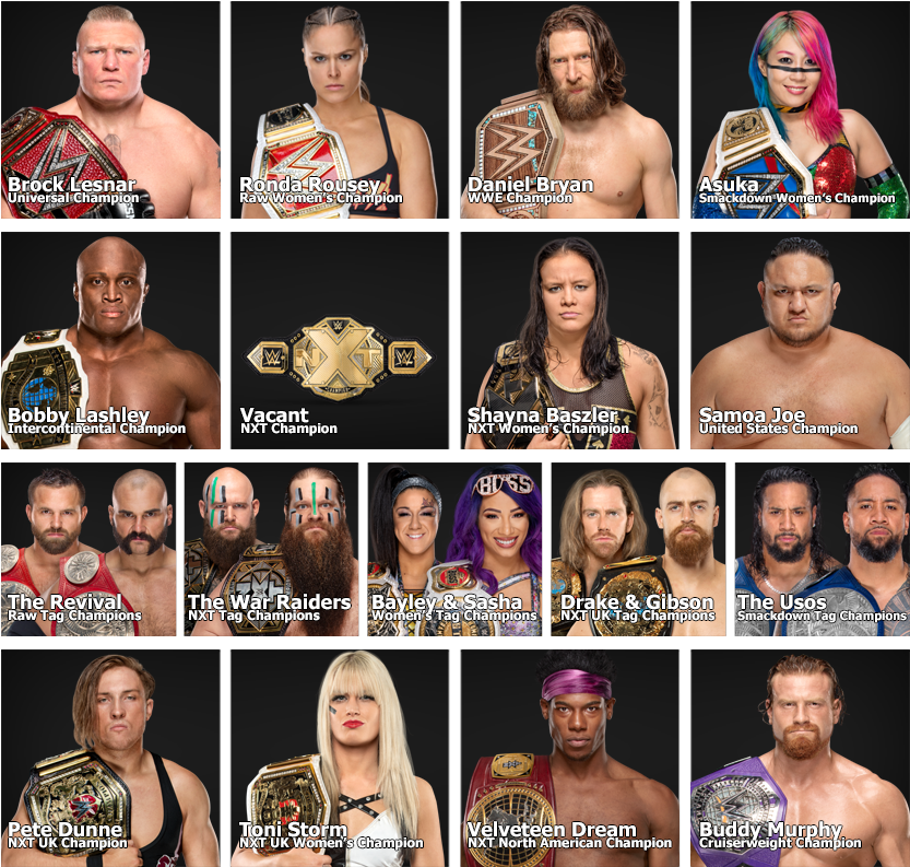 Cavauro Posted - - Collage (850x811), Png Download