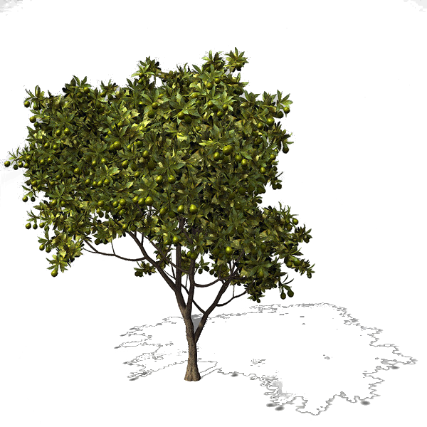 Plane (600x600), Png Download