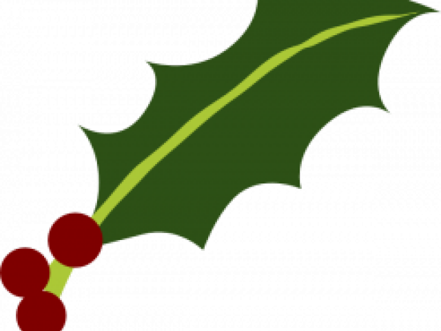 Holley Clipart Holly Leaves - Holly Leaf And Berries (640x480), Png Download