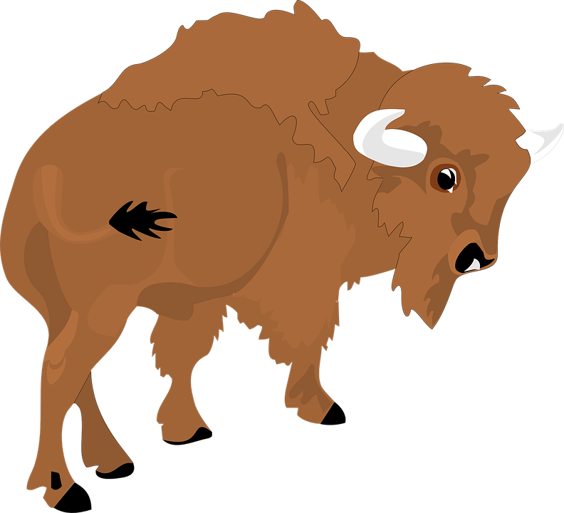 Transparent Bison Clipart (792x720), Png Download