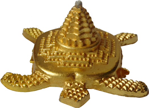 Slim Trim - Tortoise (600x600), Png Download