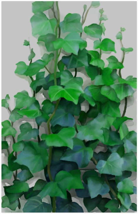 Green Creeper Wall Painting (800x800), Png Download