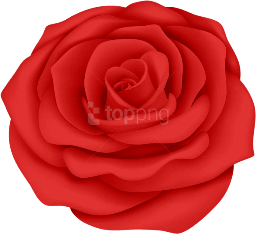 Free Png Download Red Rose Flower Transparent Png Images - Blue Rose Transparent Background (850x780), Png Download