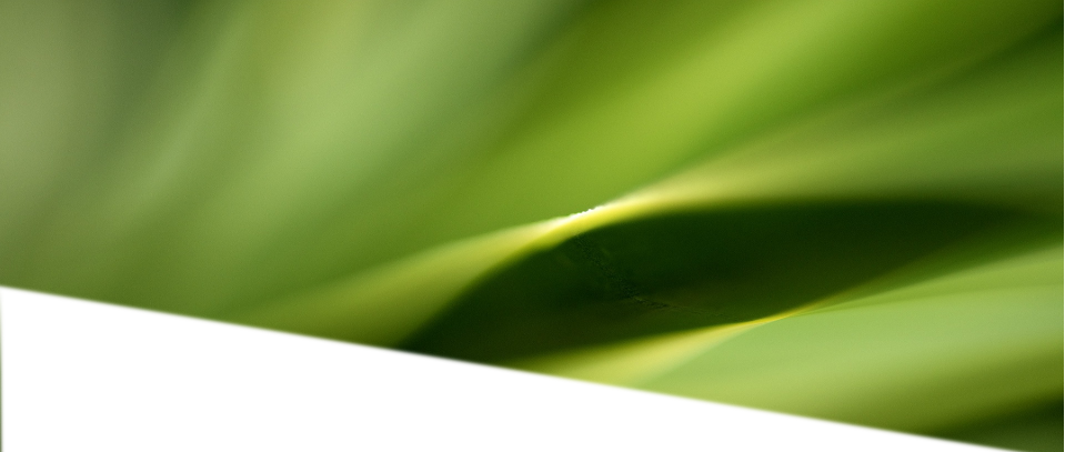 Commercial Dumpster Delivery, Dumpster Rental, Commercial (959x407), Png Download