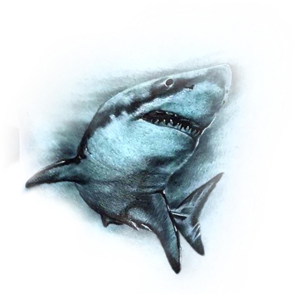 1028 X 1024 4 - Great White Shark (1028x1024), Png Download