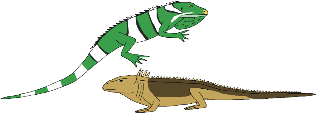 Iguana Clipart Real - Chameleon (1024x375), Png Download