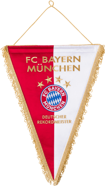 Fc Bayern Munich (660x660), Png Download
