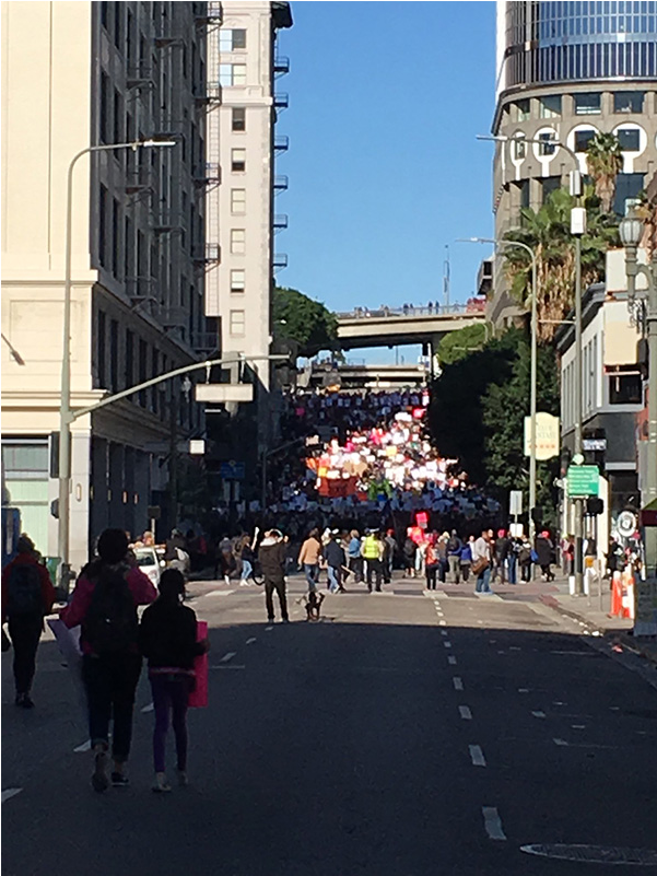 Los Angeles, California - Urban Area (800x800), Png Download