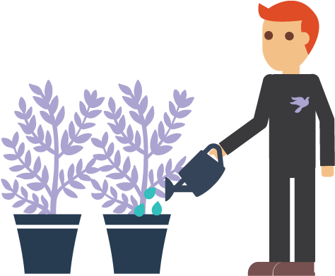 Marijauna Cannabis Production Watering Plant - Illustration (849x500), Png Download