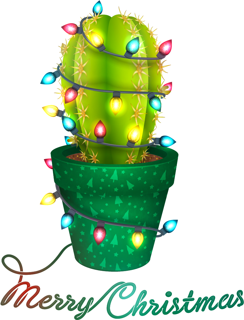 Merry Christmas Cactus Transfer - Cactus With Christmas Lights (1200x1200), Png Download