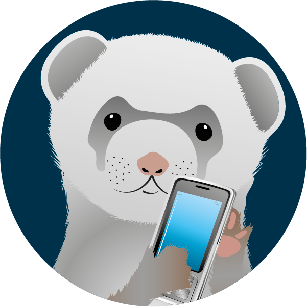 Mobile Phone Ferret - Ferrette With A Phone (601x602), Png Download