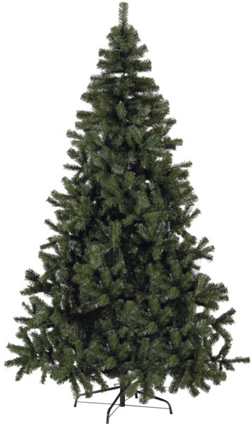 Spruce Christmas Tree (600x600), Png Download