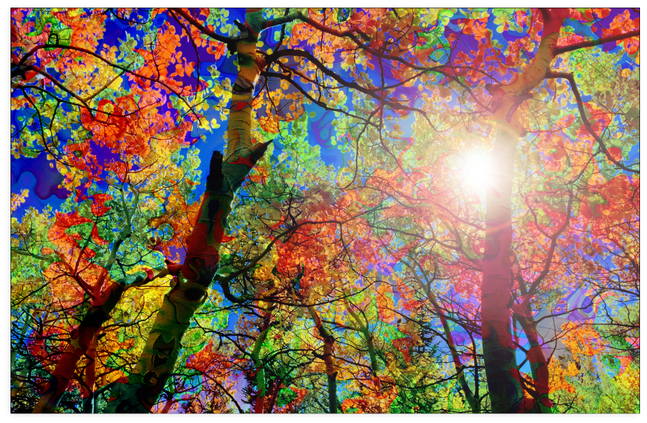 Colorful Canopy Poster - Creative Arts (1024x1024), Png Download