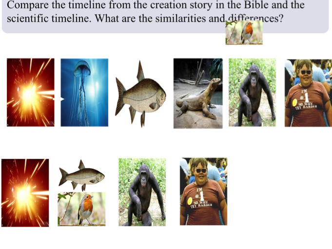 Cover Image - Cat Fish (681x511), Png Download