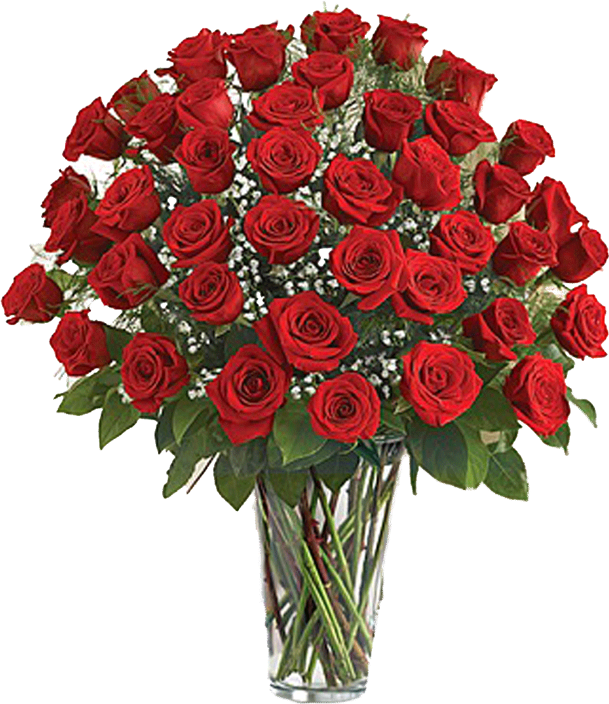 48 Premium Roses Arrangement - Dozen Red Roses (1024x1024), Png Download
