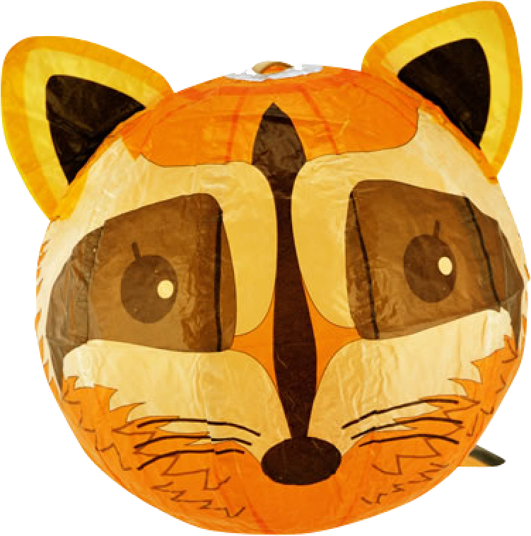 Racoon Ballon - Cat (900x900), Png Download