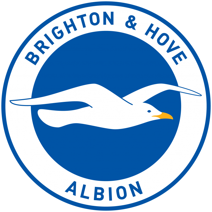 Seagulls “unfairly Tarnished” By Minimum Wage Offenders - Brighton And Hove Albion Logo (720x720), Png Download