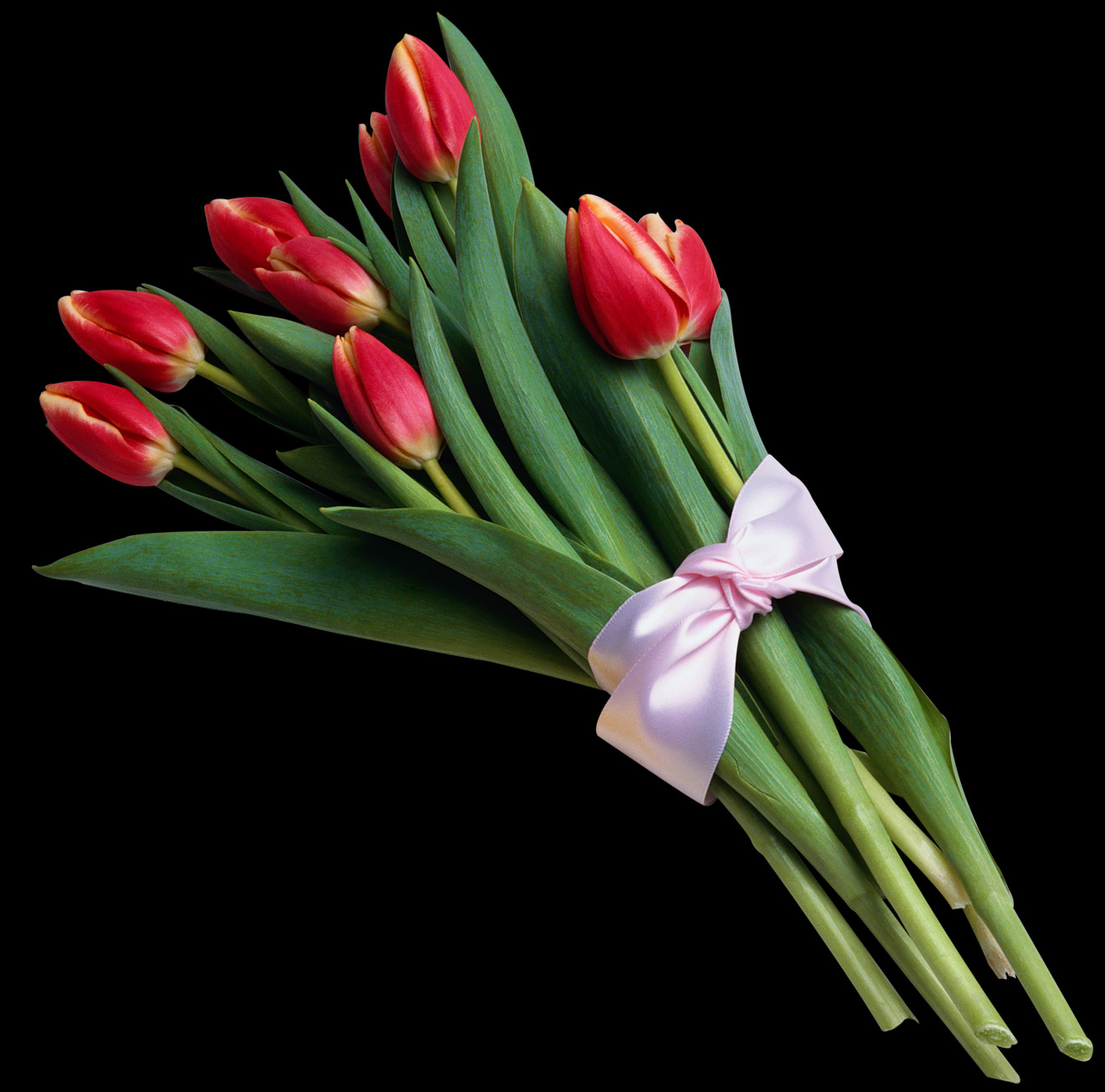 Tulip, Free Pngs - Bouquet Of Flowers Images Transparent Background (1320x1304), Png Download