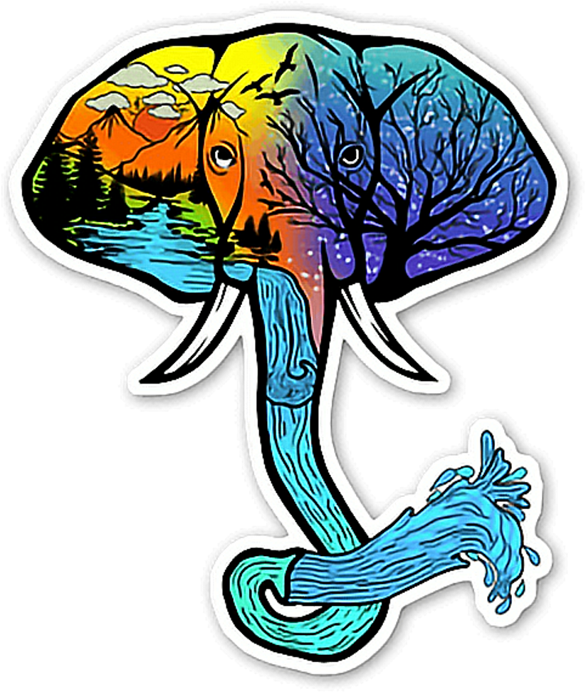 Psychedelic Clipart Fish (1024x1024), Png Download