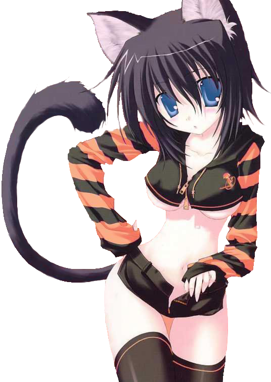 Anime Neko Cat Sexy Photo - Anime Cat Girl (536x757), Png Download