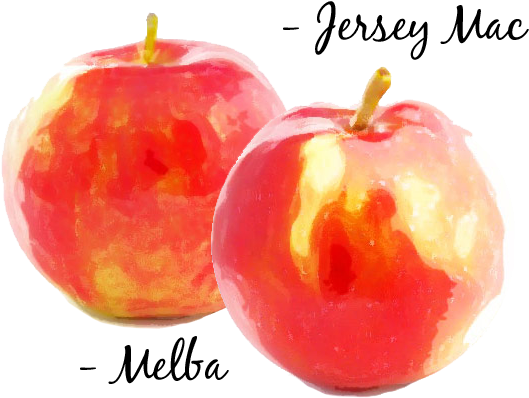 Apple Picking Season Has Begun - Mcintosh (690x434), Png Download